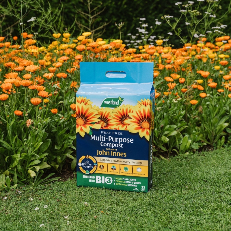 WESTLAND MULTI PURPOSE COMPOST WITH JOHN INNES 50L