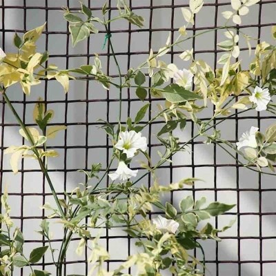 50MM BROWN CLIMBING PLANT & FENCING MESH