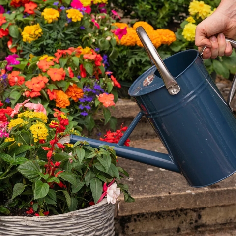 PLANT FOOD & FERTILISER