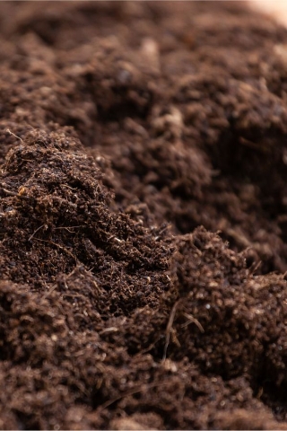 COMPOST, SOILS AND SOIL IMPROVER.