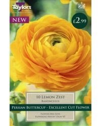 10 RANUNCULUS LEMON ZEST