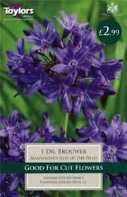 1 AGAPANTHUS DR BROUWER