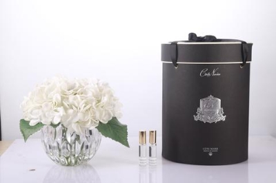 Cote Noire Luxury Range Hydrangea   Ivory in Crystal Vase