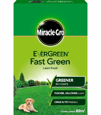 MIRACLE GRO EVER GREEN FAST GREEN