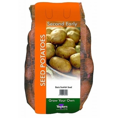 TAYLORS 2KG SAXON SECOND EARLY SEED POTATOES