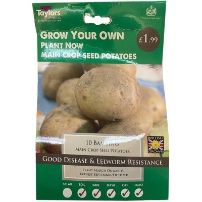 TAYLORS BAMBINO X10 MAIN CROP SEED POTATOES