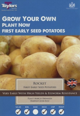 TAYLORS ROCKET X10 FIRST EARLY SEED POTATOES