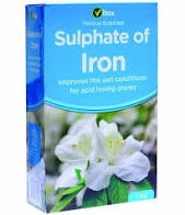 VITAX SULPHATE OF IRON 1KG