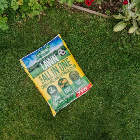 AFTERCUT ALL IN ONE LAWN FEED, WEED & MOSS KILLER.