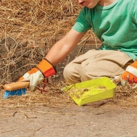 Dust Pan & Brush