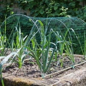 25MM GREEN WIRE MESH