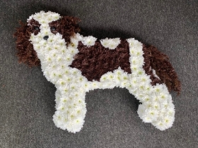 Bespoke Funeral Tribute (Spaniel Dog)