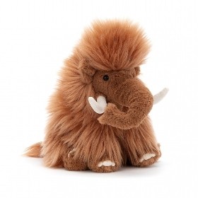 teddy bear bernedoodle full grown