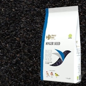 NYGER SEED