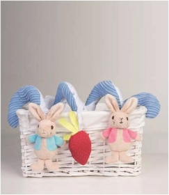 Peter Rabbit and Flopsy Bunny Activity Spiral