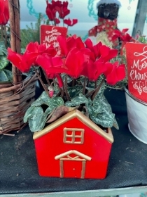 RED CHRISTMAS HOUSE 10CM