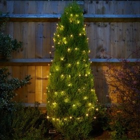 SMART SOLAR 50 WARM WHITE LED STRING LIGHTS