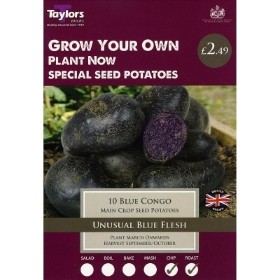 TAYLORS  BLUE CONGO X10  MAIN CROP SEED POTATOES