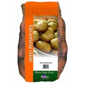 TAYLORS 2KG SAXON SECOND EARLY SEED POTATOES