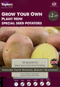 TAYLORS ALOUETTE X10 EARLY MAIN CROP SEED POTATOES.