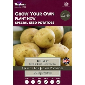 TAYLORS HARRY X10 SPECIAL SEED POTATOES