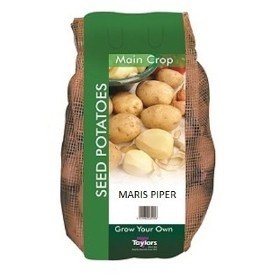 TAYLORS 2KG MARIS PIPER MAIN CROP SEED POTATOES