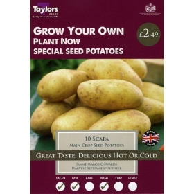 TAYLORS SCAPA X10 SPECIAL SEED POTATOES
