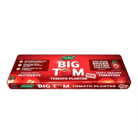 BIG TOM TOMATO PLANTER